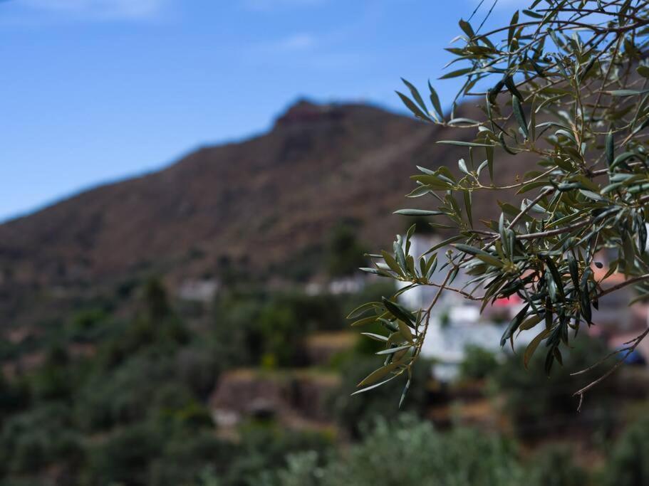 Hébergement de vacances Casa Perilla Temisas